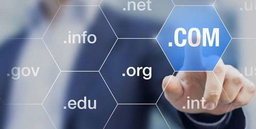 域名常見(jiàn)場(chǎng)景及選購(gòu)技巧 互聯(lián)網(wǎng)信息服務(wù)指南